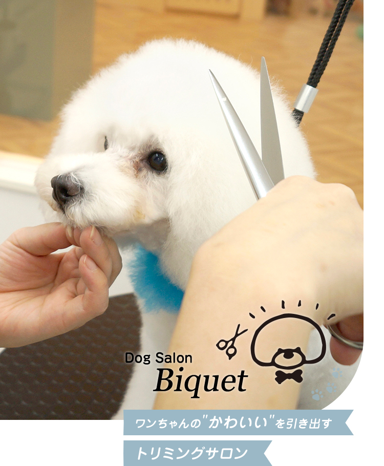 Dog Salon Biquet（ビケ）