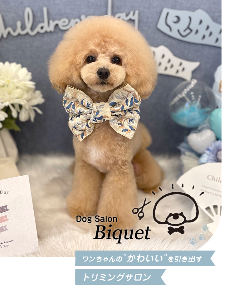 Dog Salon Biquet（ビケ）